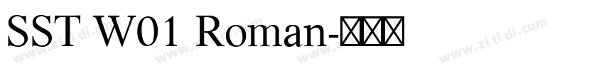 SST W01 Roman字体转换